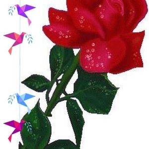 Meet your Posher, Rita